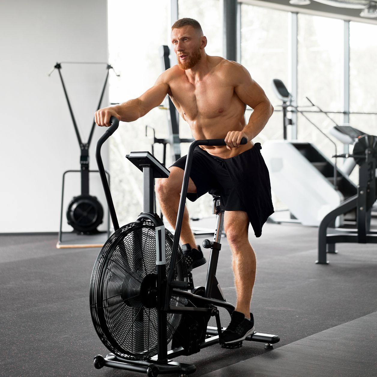 Stair Climbers